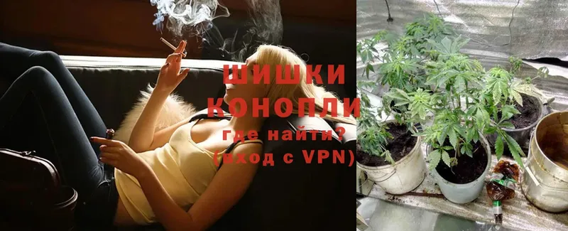 МАРИХУАНА SATIVA & INDICA  магазин  наркотиков  mega онион  Новотроицк 